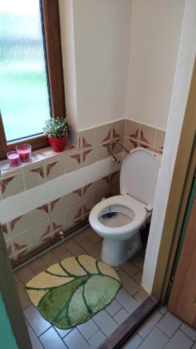 a bathroom with a toilet and a window and a rug at Frýdlant nad Ostravicí - Pržno čp 56 in Frýdlant nad Ostravicí