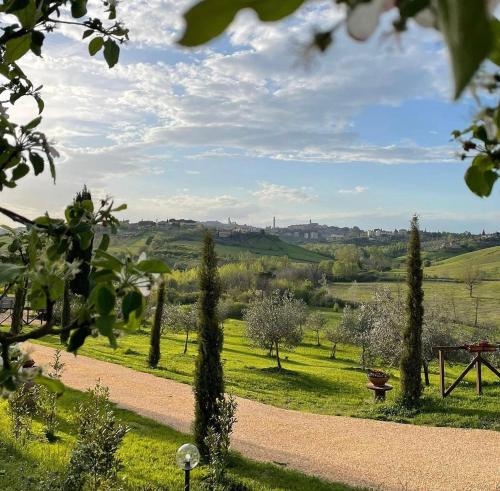 a view of a field with trees and a dirt road at Agriturismo La Corte del Sole in Siena
