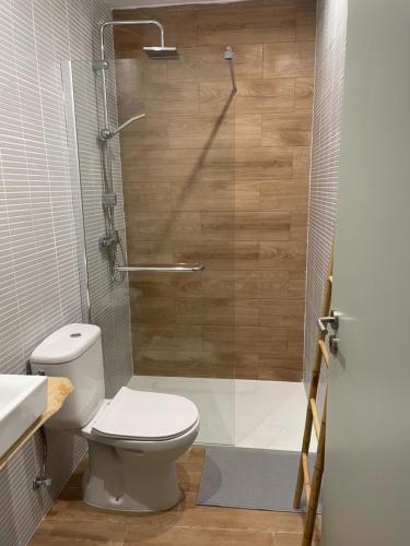 un bagno con wc e doccia di Casa dos Arcos a Vila do Conde