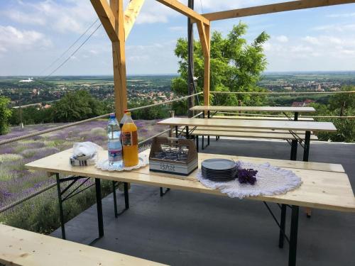 a picnic table with plates and bottles on top of it at Levendulászat in Simontornya