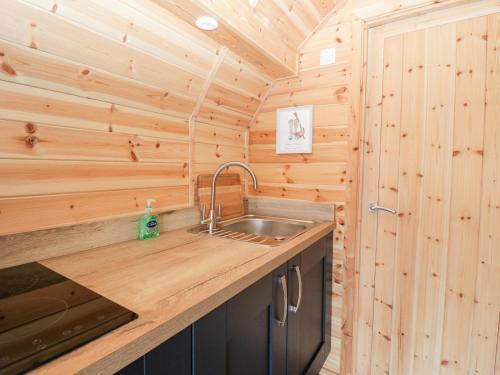 a kitchen with a sink in a wooden cabin at Cleugh Lodge in Lockerbie