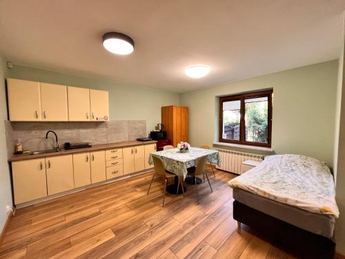 Kuchyň nebo kuchyňský kout v ubytování Green Albatros 48m with bathroom