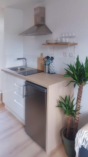 a kitchen with a sink and a counter with two plants at Charmant T1 meublé in Mérignac