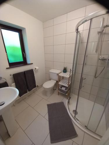 a bathroom with a shower and a toilet and a sink at Atlantic Shore B&B in Bantry