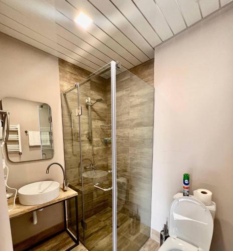 a bathroom with a shower and a toilet and a sink at Sargsyan ECO house in Sevan