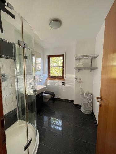a bathroom with a shower and a toilet and a sink at Ferienwohnung Mittelbiberach in Mittelbiberach