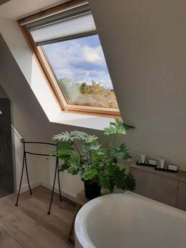a bathroom with a large window and a bath tub at B&B Eikenlaan 12 in Genk