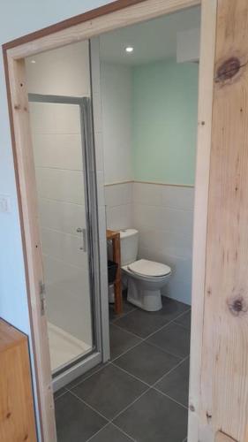 a bathroom with a toilet and a glass shower door at Vue sur la chaine des Pyrénées in Lourdes