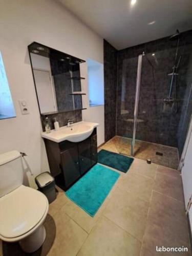 uma casa de banho com um WC, um lavatório e um chuveiro em 24 Heures du Mans - GITE du Moulin du Breil em Écommoy