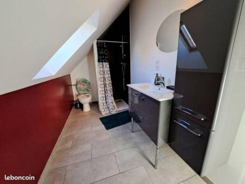 een badkamer met een wastafel en een toilet bij 24 Heures du Mans - GITE du Moulin du Breil in Écommoy