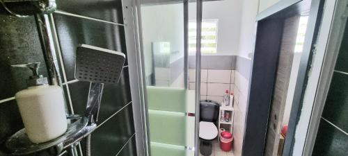 a small bathroom with a shower with a green sink at ESCAL RUN in Le Tampon