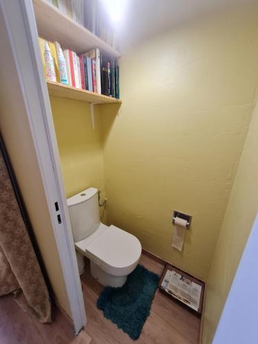 a bathroom with a toilet and a book shelf at La Maison d'Estrella in Moussoulens