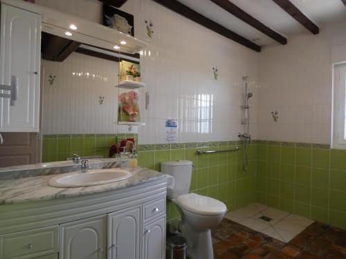 ein Bad mit einem Waschbecken und einem WC in der Unterkunft Les Logis du Breuil in Marchéville
