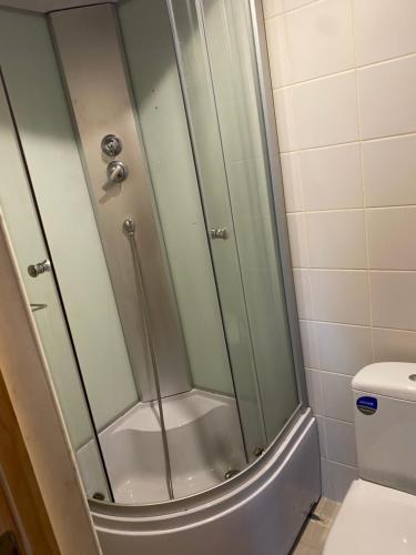 a shower with a glass door next to a toilet at Aņutas flat in Saldus