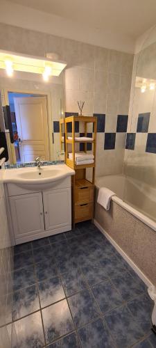 a bathroom with a sink and a shower and a tub at Le Petit Nid in Bergheim