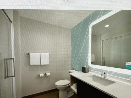 avid hotels - Detroit - Warren, an IHG Hotel في وارين: حمام مع حوض ومرحاض ومرآة