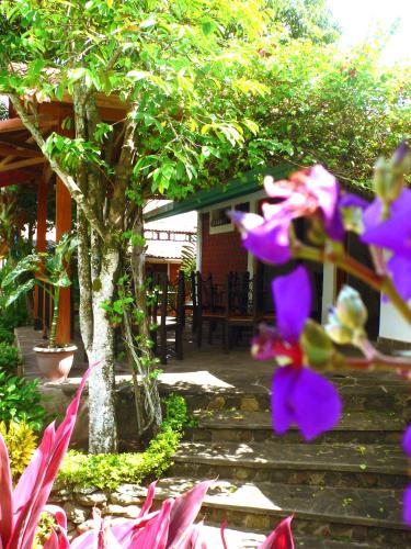 Κήπος έξω από το Bubinzana Magical Lodge