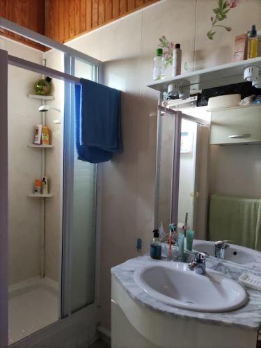 une salle de bain avec un lavabo et une douche dans l'établissement Maison bien vivre, à Saint-Georges-de-Didonne