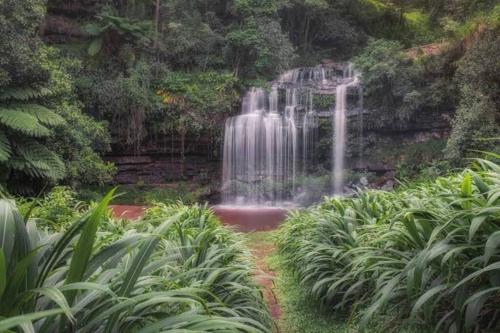 a waterfall in the middle of a garden with plants at “Fyndraai” the home away from home in Gillitts