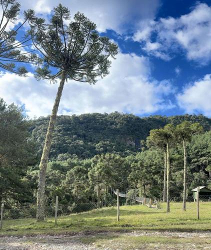 Landskap semula jadi dekat dengan rumah tamu ini
