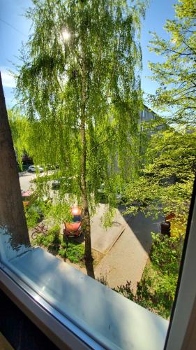 a view of a tree from a window at Happy Place - ApartamentyHappy pl in Mielec