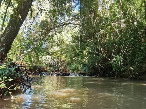 un río en un bosque con árboles y agua en Minicasa rural "El Sitio de la Vida" en Wanda