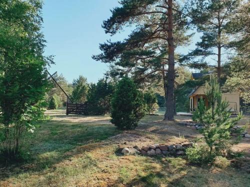 a yard with trees and a shed in the distance at My little happy place in Undva