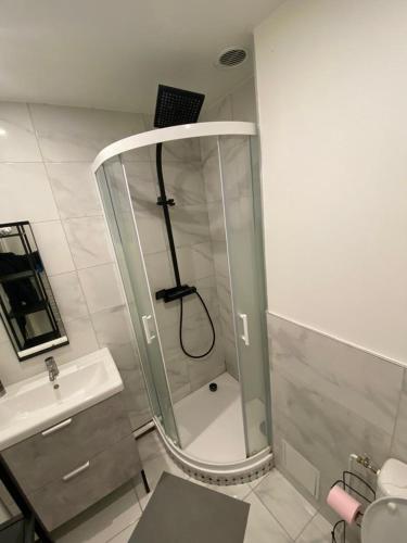 um chuveiro numa casa de banho ao lado de um lavatório em La singulière em Cergy