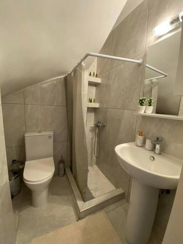a bathroom with a toilet and a shower and a sink at Magio House in Ixia