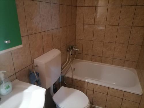 uma casa de banho com um WC e uma banheira em Cabana nea Nicu em Bălceşti