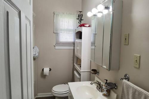 a bathroom with a sink and a toilet and a mirror at Artistic Home in Lewisburg in Lewisburg