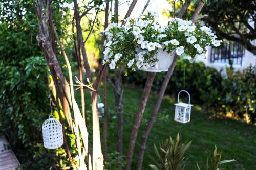 a tree with three flower pots hanging from a tree at Villa Agathi in Roda