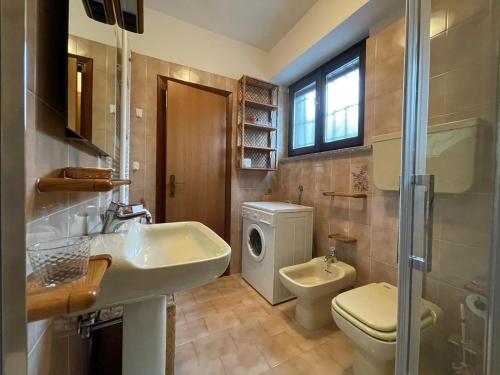 布倫佐內的住宿－Appartamento alla Playa，一间带水槽和卫生间的浴室