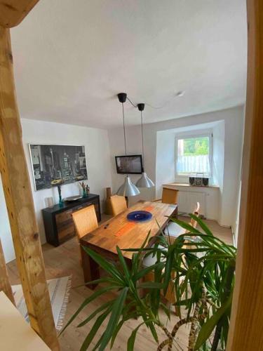 TV a/nebo společenská místnost v ubytování Helles, gemütliches Haus mit Moselblick