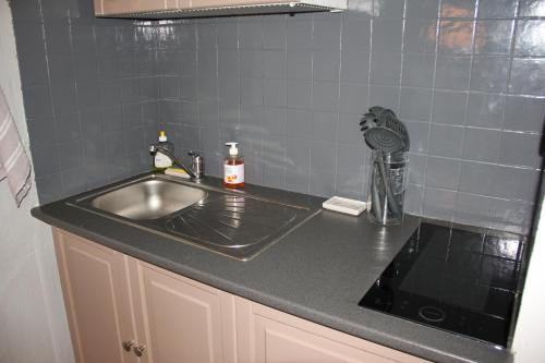 a kitchen with a sink and a counter top at Au pied des pistes Côte 2000 - Le Balcon de Villard de Lans in Villard-de-Lans