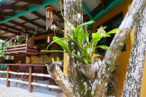 a plant in a tree in front of a restaurant at RiverHill Hideaway in Monkey Fall