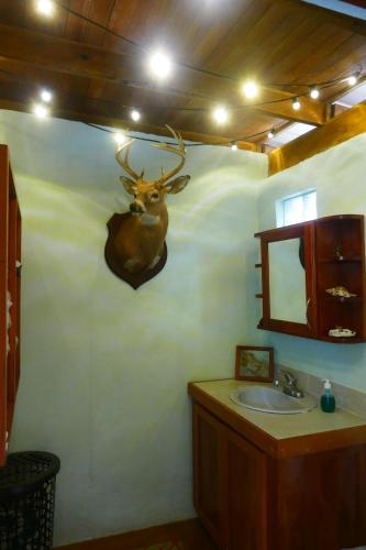 a bathroom with a deer head on the wall at RiverHill Hideaway in Monkey Fall