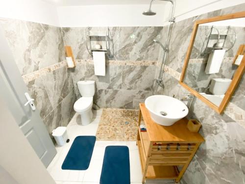 a bathroom with a sink and a toilet and a mirror at Plézi location F2 au bord de l'eau, Trois-Ilets in Les Trois-Îlets