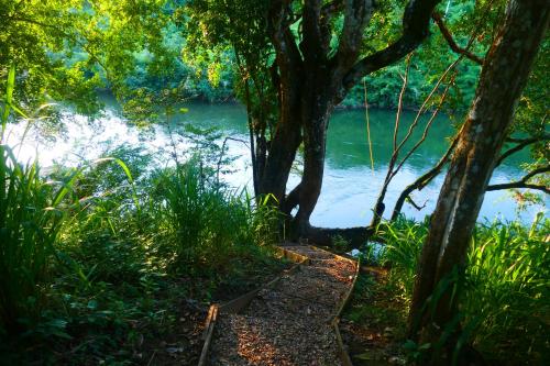 a path next to a river with a tree at RiverHill Hideaway in Monkey Fall