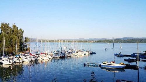 a bunch of boats are docked in a harbor at Chatky U Davida Máchovo jezero in Staré Splavy