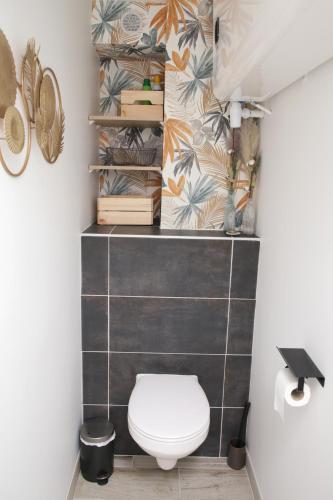 La salle de bains est pourvue de toilettes et de livres sur le mur. dans l'établissement 