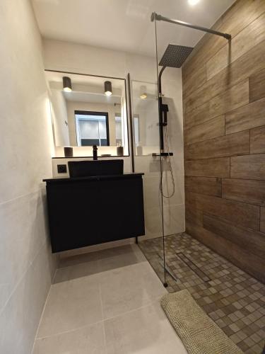 une salle de bain avec une douche, un lavabo et un miroir dans l'établissement CAP'NOMAD Studio Côté Port - terrasse - piscine - parking, au Cap d'Agde