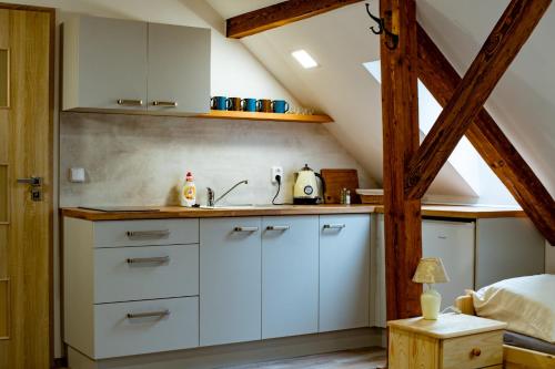 Kuchyň nebo kuchyňský kout v ubytování Apartmán Pod Zámkem