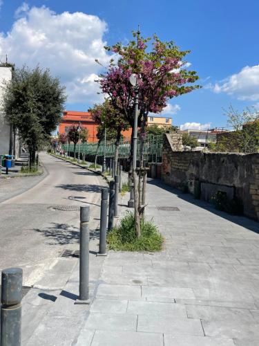 Okolí apartmánu