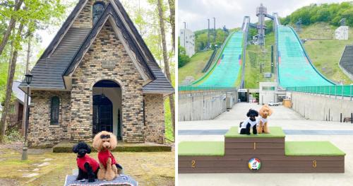 two pictures of a teddy bear sitting in front of a slide at 白馬パウダーマウンテン in Hakuba