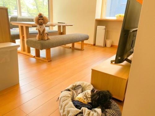 a dog laying in a dog bed in a living room at 白馬パウダーマウンテン in Hakuba