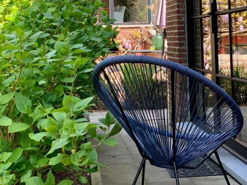 a blue chair sitting on a porch next to a bush at Vakantiehuis ABEL in Dilsen-Stokkem