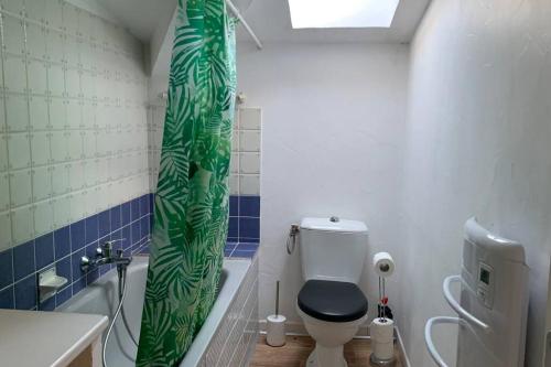 La salle de bains est pourvue de toilettes et d'un rideau de douche vert. dans l'établissement Duplex à Monteux centre, à Monteux