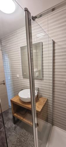 a bathroom with a sink and a glass shower at Villa Kajgo-Pag in Pag