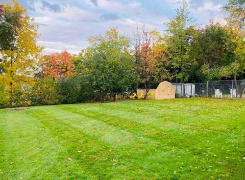 a large grassy yard with a tent in it at Family-Friendly Home CLOSE to SYR Univ DWNTWN & THE DOME! Location Location Location in Syracuse